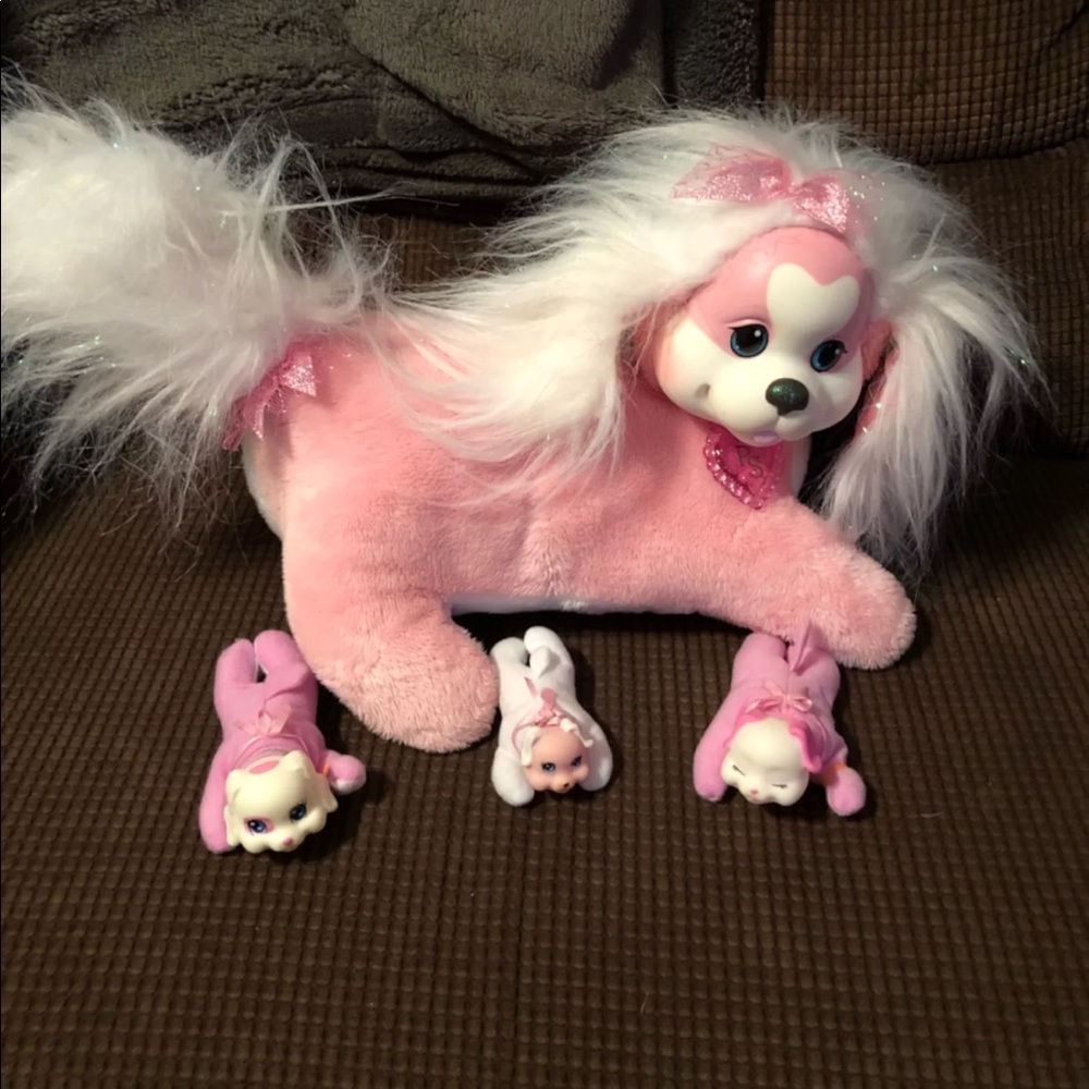 Puppy Surprise!!!